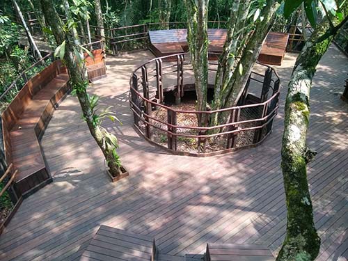 Trilha Ecológica SESC Bertioga